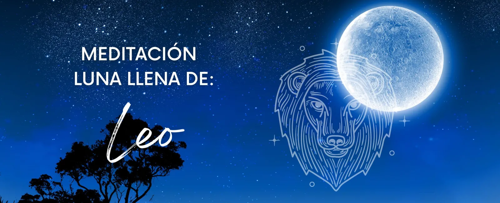 Meditaciones de luna llena